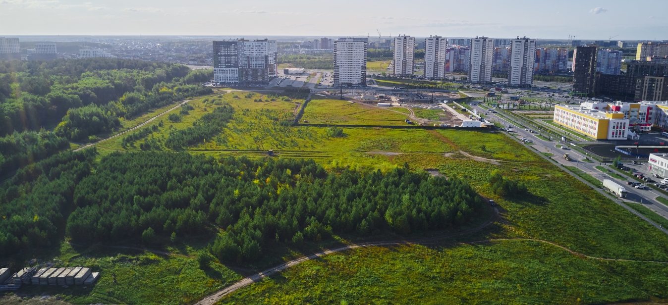 Первая линия. Гавань Первая линия. Гавань